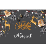 Christmas Jewelry Box - Xmas JB 2